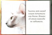 Киски 4
